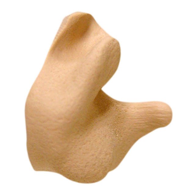 Radians Custom Molded Earplugs CEP001 (Blue, Red, Orange, Tan) - BHP Safety Products